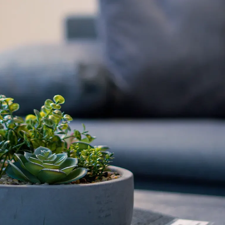 Sequence 01.00_00_25_10.Standbild001 1