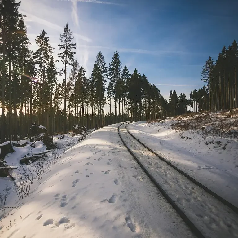 stefan-pasch-iJoHOrQLu1A-unsplash 1