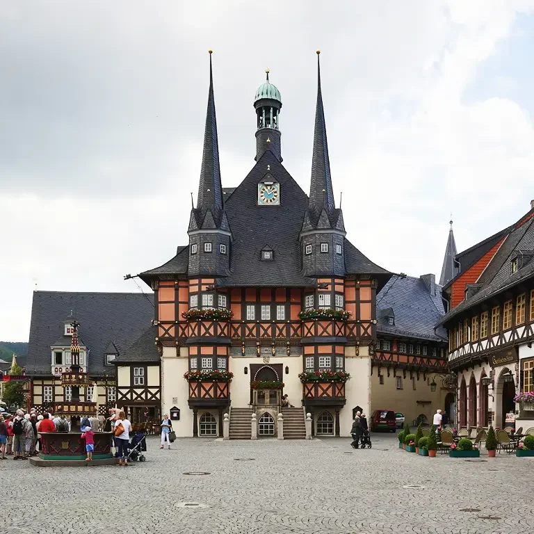 timothy-kindrachuk-ZDZ1kzD3WcI-unsplash 1